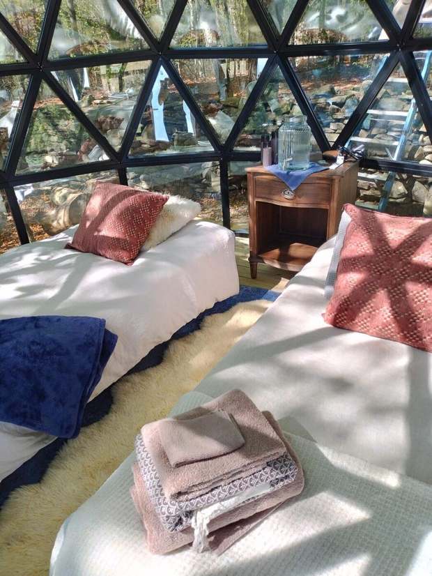 Inside the glass dome, surrounded by trees