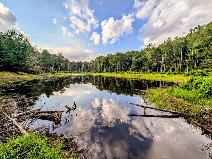 Mirror lake on the property