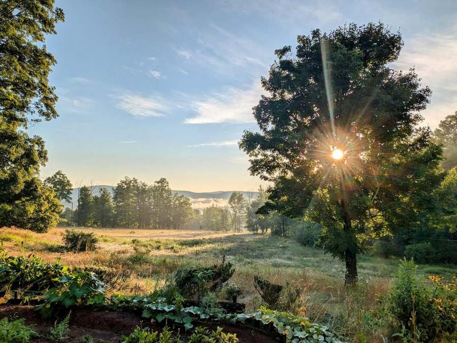 Morning mist over the land
